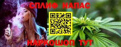 дживик Дубна