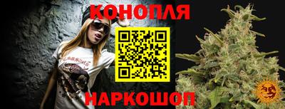 гашик Донецк