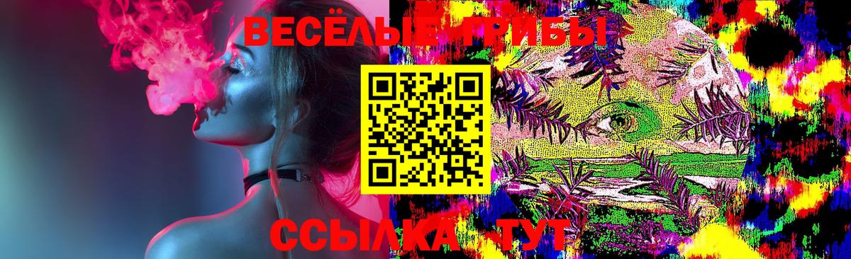 Майкоп  Псилоцибиновые грибы Magic Shrooms  Псилоцибиновые грибы ЛСД  Вход с VPN 