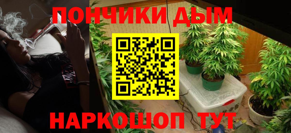МАРИХУАНА план  Каннабис THC 21%  Майкоп  Вход с VPN 